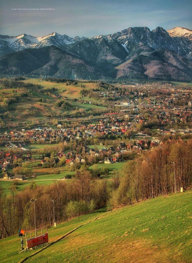 Zakopane - Harenda 13E公寓 外观 照片